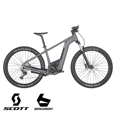 E-MTB Hardtail